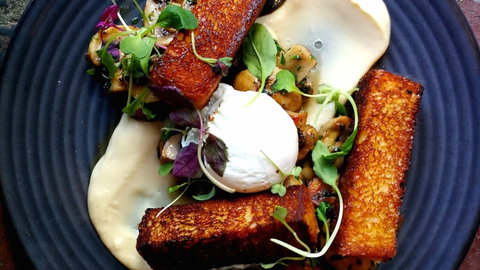 Mr Foxx - Pubs Perth 0