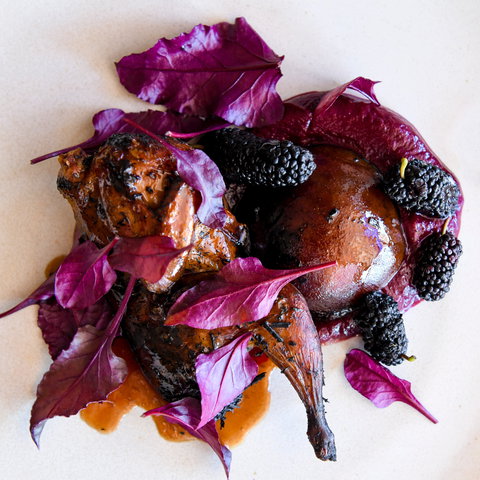 Osteria Il Coccia - Pubs Perth 2