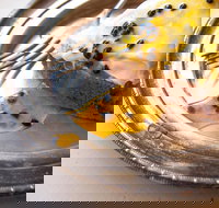 Power Plant - Pubs Perth