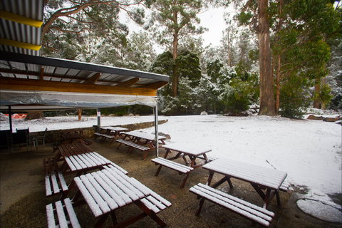 Waterfalls Cafe & Gallery - Pubs Perth 0