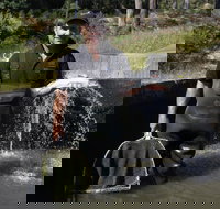 41 Degrees South Tasmania - Pubs Perth