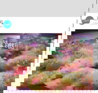 Cafe Invigor8 - Pubs Perth