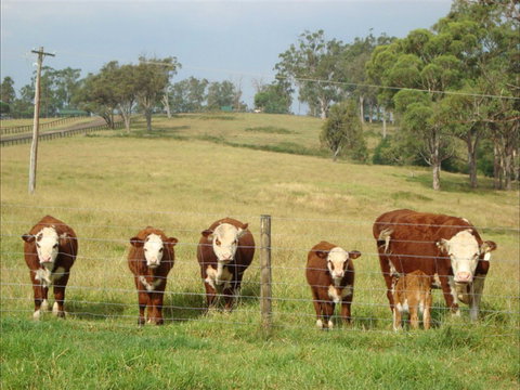 Langdale Farm - Pubs Perth 1
