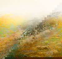 Poonawatta - Pubs Perth