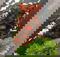 Royal India Restobar - Pubs Perth