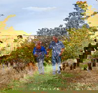 WayWood Wines - Pubs Perth