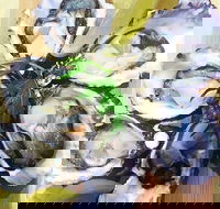 Captain  Co Fish Bar - Pubs Perth