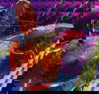 Flippers - Pubs Perth