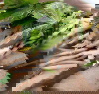 Hong Pho - Pubs Perth