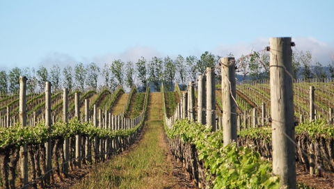 Philip Shaw Wines - Pubs Perth 1