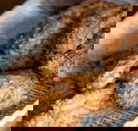 The Art of Fried Chicken - Pubs Perth