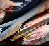 Soul Origin - Helensvale - Pubs Perth