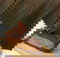 The Pie Tin - Newtown - Pubs Perth