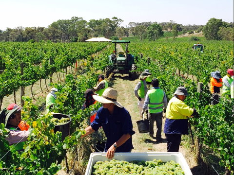 Grosset Wines - Pubs Perth 1