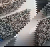 Latte  Cream - Pubs Perth