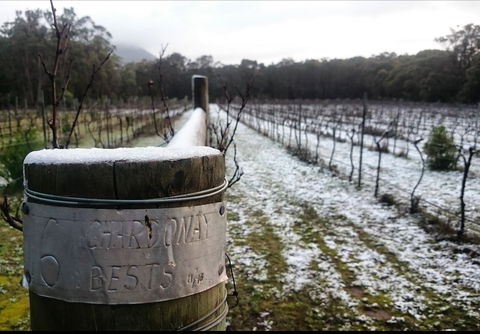 Mount Buninyong Winery - Pubs Perth 1