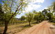 Tahbilk Winery And Vineyard - thumb 1
