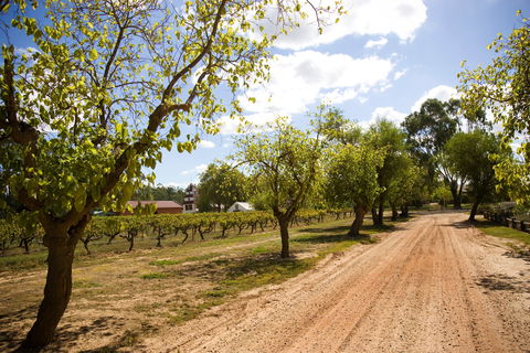 Tahbilk Winery And Vineyard - Pubs Perth 1