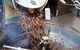Bliss Coffee Roasters - thumb 1
