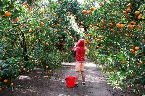 Ford’s Farm - Pubs Perth 0