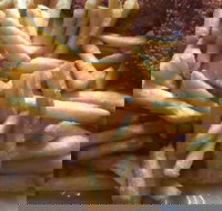 Fish Food with a Difference - Pubs Perth