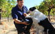 Garbin Estate Wines - thumb 1