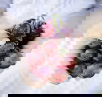 Granitevale Winery - Pubs Perth