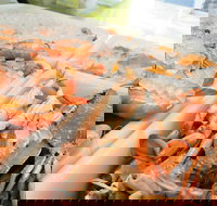 Rufus King Seafoods Amity Point - Pubs Perth