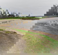 South West Rocks Country Club - Pubs Perth