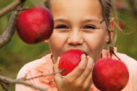 Suttons Juice Factory And Cidery - Pubs Perth 2