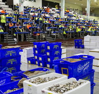 Sydney Fish Market - Pubs Perth