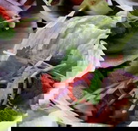 Tran Tran - Pubs Perth