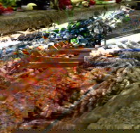 Bronze Orange - Pubs Perth