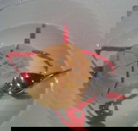 Indian Garden Restaurant - Pubs Perth