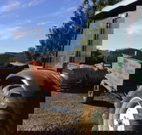 Massena - Pubs Perth