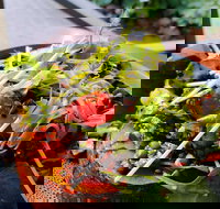 The Berry Farm Cottage Caf - Pubs Perth