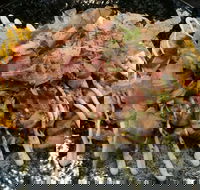 Tori Tori - Pubs Perth