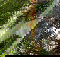 Velvet  Willow - Pubs Perth