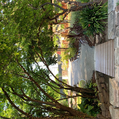 Velvet & Willow - Pubs Perth 0