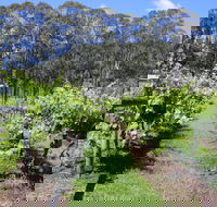 Woongooroo Estate Winery - Pubs Perth