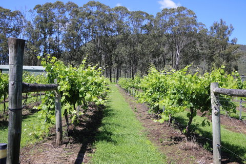 Woongooroo Estate Winery - Pubs Perth 0
