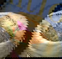 Wrap It Kebabs  Falafel