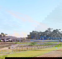 Blacklea Vineyard and Olive Grove - Pubs Perth