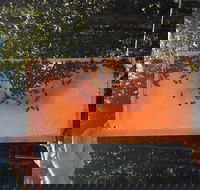 Clayridge Honey - Pubs Perth