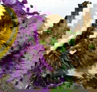 Gold Creek Cafe - Pubs Perth