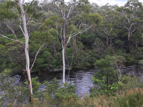 Mongarlowe Gourmet - Pubs Perth 2