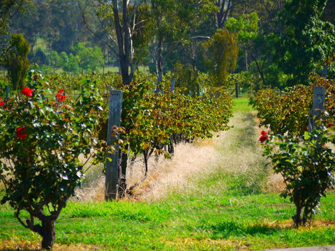 The Red Apron Gourmet Kitchen - Pubs Perth 0