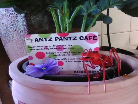 Antz Pantz Cafe - Pubs Perth 0