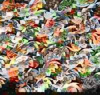 Thai Infinity Restaurant - Pubs Perth