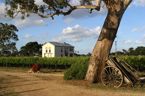 Highbank Vineyards - Pubs Perth 2